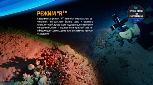 Фонарь Fenix SD11 + подарок Fenix AOT-M (XM-L2, 1000 лм, 18650/CR123A)