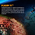 Фонарь Fenix SD11 + подарок Fenix AOT-M (XM-L2, 1000 лм, 18650/CR123A)