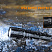 Фонарь Fenix PD40R V2.0 + подарок Fenix AOT-M (LUMINUS SST 70, ANSI 3000 лм, 21700)