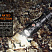 Фонарь Fenix PD25R (SST20, ANSI 800 лм, 16340/CR123A)