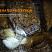 Фонарь Fenix E03R (MATCH CA18 + EVERLIGHT 2835, ANSI 260 лм, Li-Po)