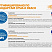 Фонарь Fenix HL16 Фиолетовый (XP-E2 R3, 70 лм, АА)